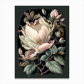 Magnolia 1 Floral Botanical Vintage Poster Flower Canvas Print