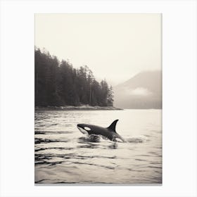 Misty Black & White Orca Whale Forest And Ocean Photography Style 3 Canvas Print
