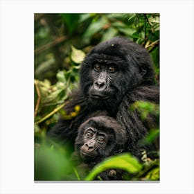 Rwanda Mountain Gorillas 1 Canvas Print