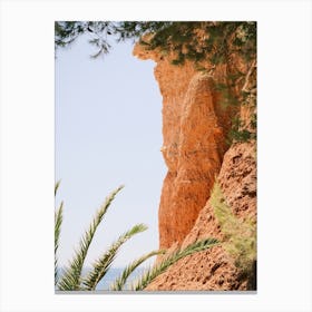 Sea, Rock & Palms // Ibiza Nature & Travel Photography Canvas Print