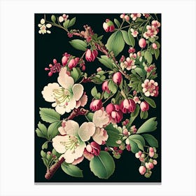 Cherry Blossom 3 Floral Botanical Vintage Poster Flower Canvas Print