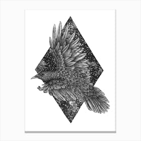 Cosmic Raven Canvas Print
