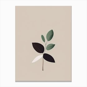 Black Walnut Herb Simplicity 2 Canvas Print