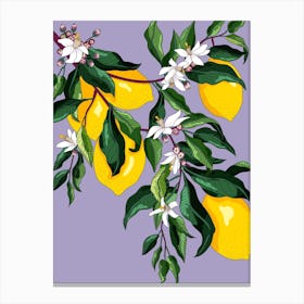 Lemon Blossom Canvas Print