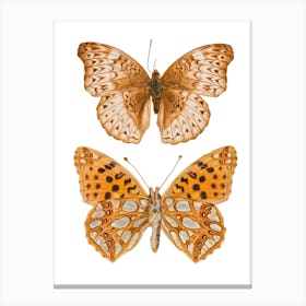 Two Silver And Gold Butterflies Canvas Print