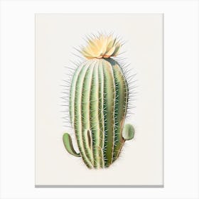 Ferocactus Cactus Marker Art 2 Canvas Print