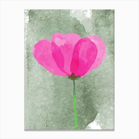 Pink Poppy Canvas Print