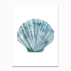 Colored seashells. Seashells. Summer. 13 Canvas Print