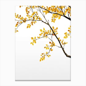 Autumn Leaves On A Tree Canvas Print