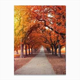 Autumn Trees In The Park Canvas Print