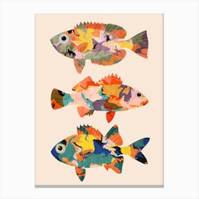 Three Fish Canvas Print