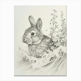 Polish Rabbit Drawing 4 Canvas Print