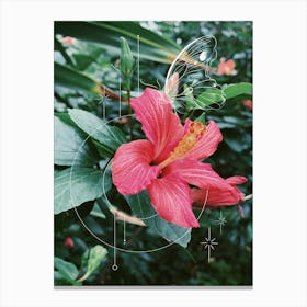 Hibiscus Bloom Canvas Print