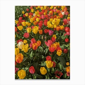 Amsterdam Tulip flowers Nature Art Botanical Travel Canvas Print