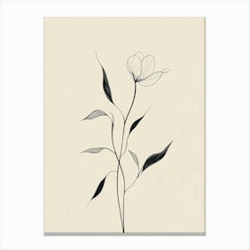 Flower 1 Canvas Print