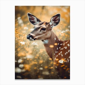 Deer In Flower Field Canvas Print