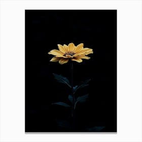 Single Yellow Flower 3 Canvas Print