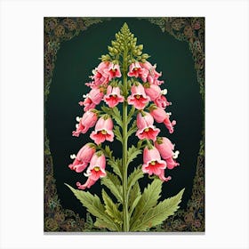 Pink Foxglove Canvas Print