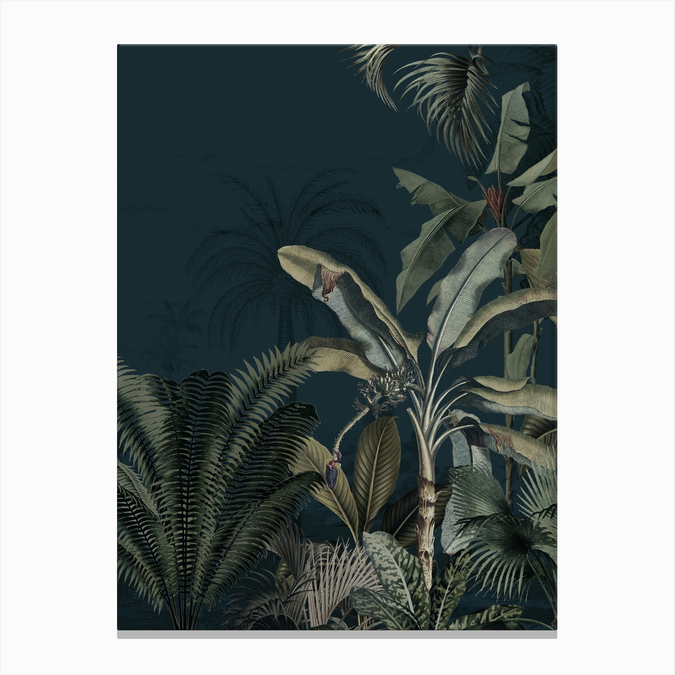Dreamy Jungle Canvas Print By Annet Weelink Design Fy