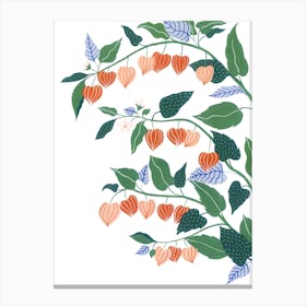 Chinese Lantern Plant Botanical Painting Canvas Print