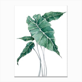 Botanical Leaf Garden In Watercolor Canvas Print