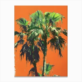 Palm Trees 45 Canvas Print