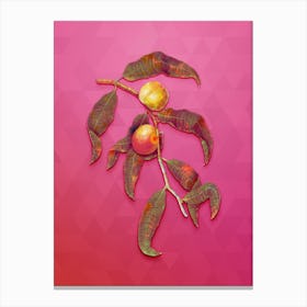 Vintage Peach Botanical Art on Beetroot Purple n.0181 Canvas Print