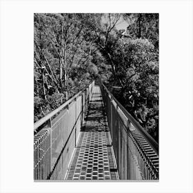 Treetop Walk - Walpole Western Australia Canvas Print