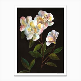 Botanique Canvas Print