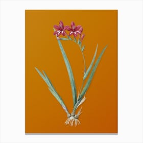 Vintage Gladiolus Cardinalis Botanical on Sunset Orange n.0594 Canvas Print