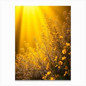 Yellow Flowers In The Sun Canvas Print