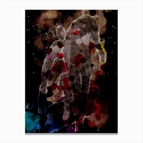 Abstraction Is An Old Sage Canvas Print