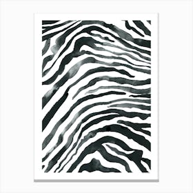 Zebra Black And White Canvas Print