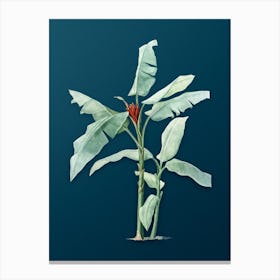 Vintage Scarlet Banana Botanical Art on Teal Blue n.0501 Canvas Print