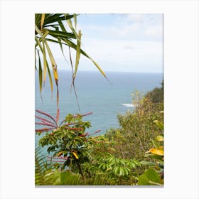 Hawaiian Beach Canvas Print