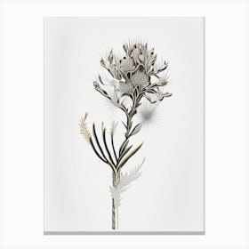 Silver Torch Joshua Tree Gold And Black (5) Canvas Print