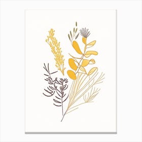 Fenugreek Spices And Herbs Minimal Line Drawing 1 Canvas Print