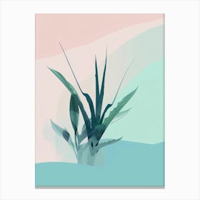 aloe vera Canvas Print