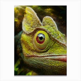 Chameleon Canvas Print