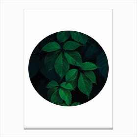 Dark Green Plant Circle Canvas Print