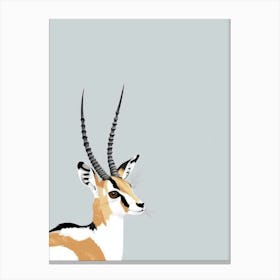 Gazelle Canvas Print Canvas Print