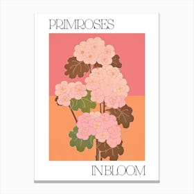 Primroses In Bloom Flowers Bold Illustration 3 Canvas Print