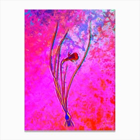 Daffodil Botanical in Acid Neon Pink Green and Blue 1 Canvas Print