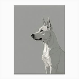 Doberman Pinscher Canvas Print