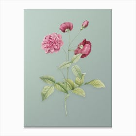 Vintage China Rose Botanical Art on Mint Green n.0884 Canvas Print