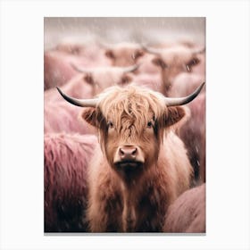 Blush Pink Highland Cows In The Rain 3 Canvas Print