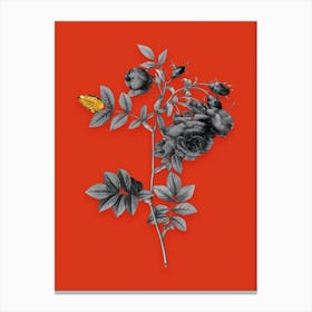 Vintage Turnip Roses Black and White Gold Leaf Floral Art on Tomato Red n.0342 Canvas Print