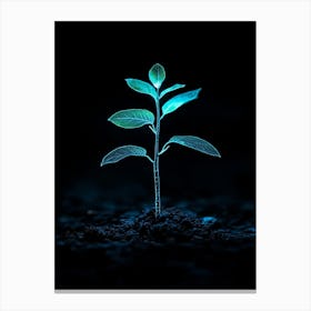 Small Green Plant On Black Background 8 Canvas Print