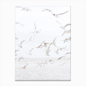Seagulls Over Ocean Canvas Print
