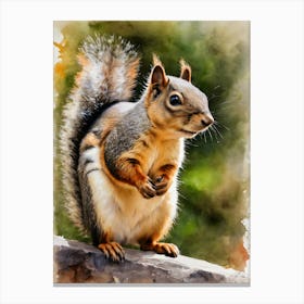 Andean Squirrel Canvas Print